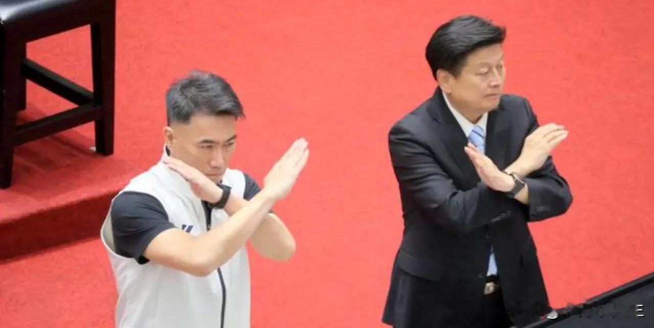 台湾地区立法机构今天对国民党团、民众党团提出的4项公投案进行了表决。首先表决的是
