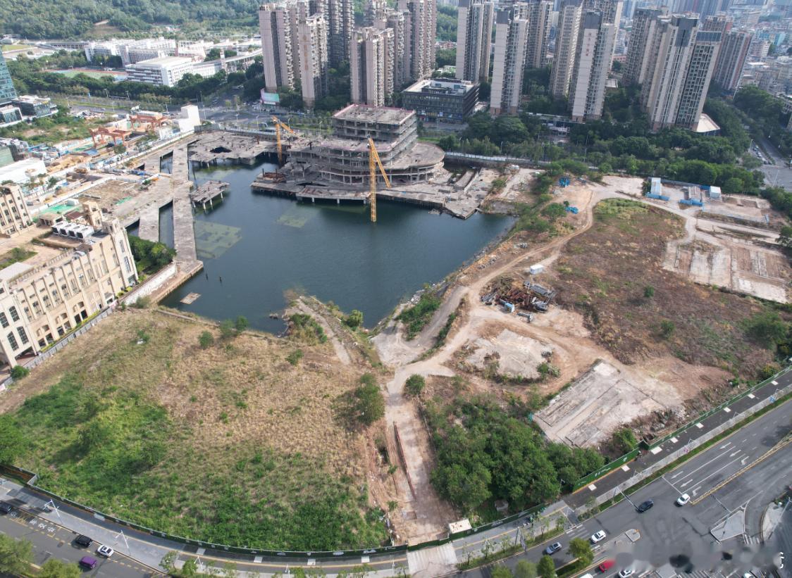 华润底价拿下大运烂尾地王，意料之中。相信产品做出来会非常好，但也许你买不起。