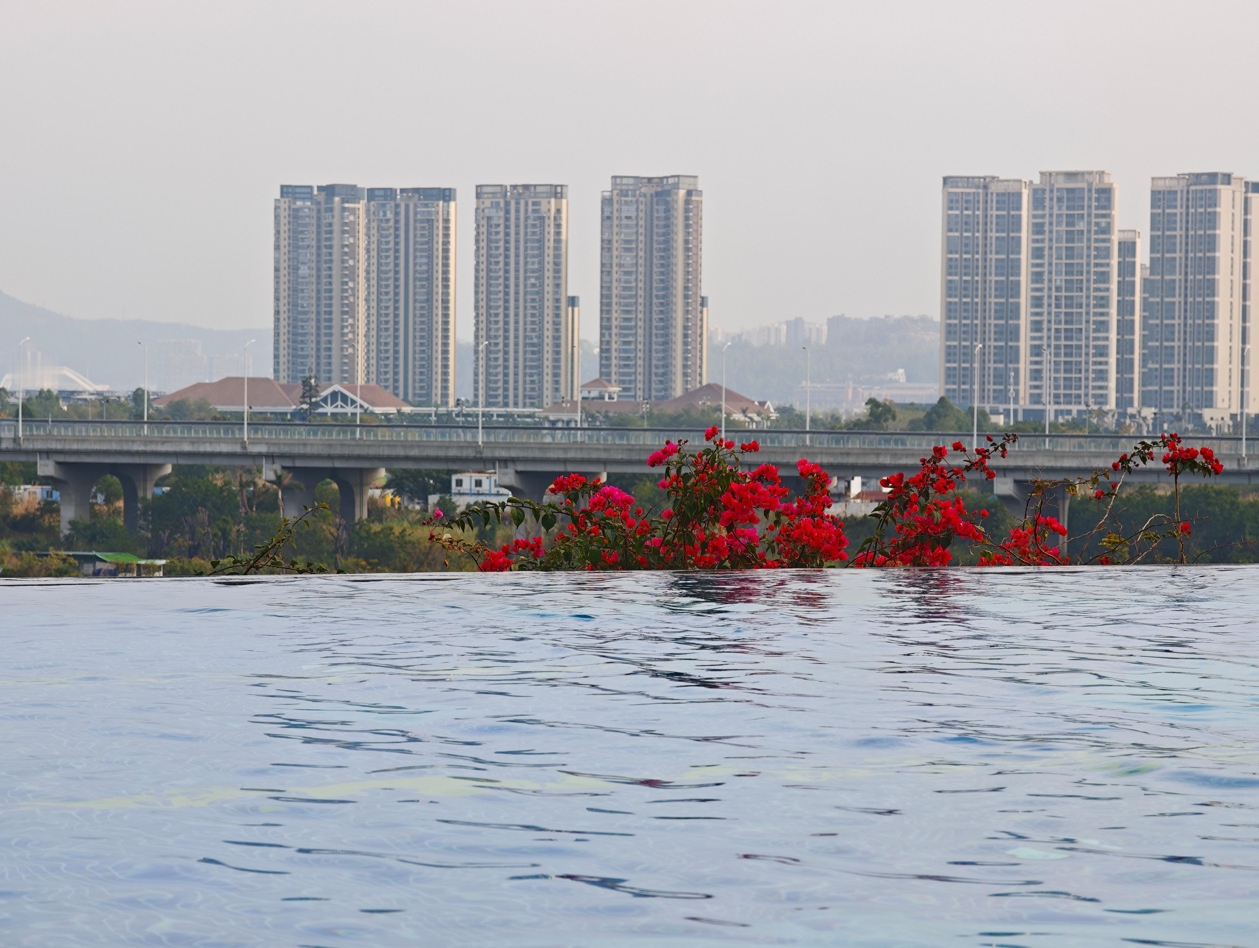 最近带孩子，过的太特么健康了9点起床，10点干早饭中午带娃暴走5000米，不吃饭