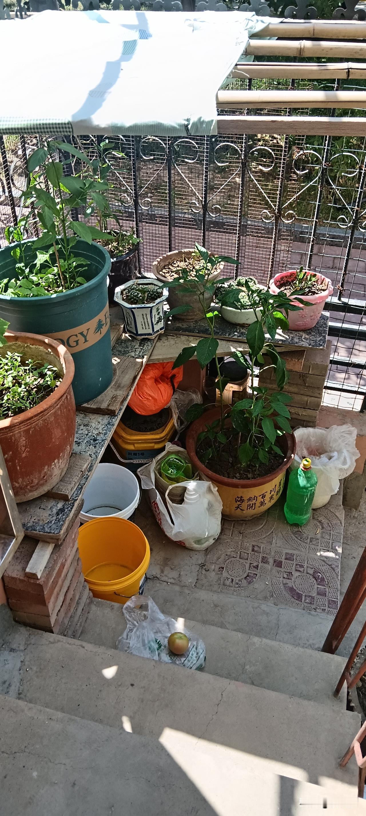60多岁的单身女人，一定要守住自己的底线，我一小闺蜜，她现在简直是太可怜了！