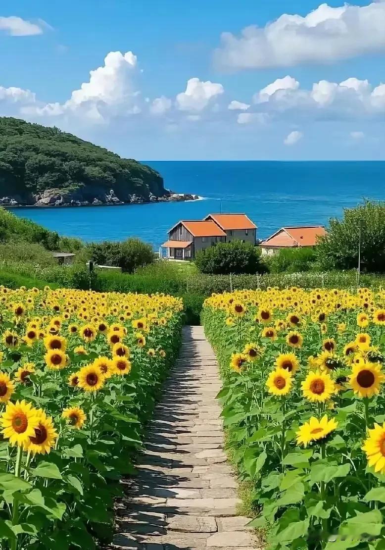 网友说：“我只睡过老婆一个女人，偶尔夜深人静时，总会感觉这辈子有点不值。人到中