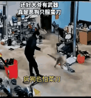大爷太厉害了，遇到一条恶狗，狗狗窜着咬大爷，可大爷手里有镰刀，镰刀直接朝狗头上砍