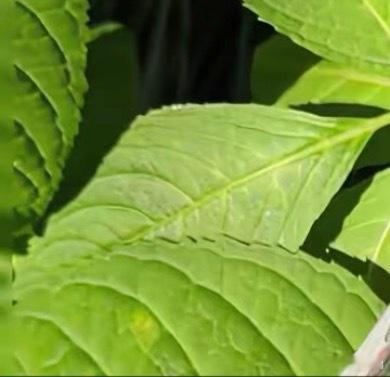 晚安感恩今日，期待明天。给今天的一切画上一个句号。感谢今天的付出，期待