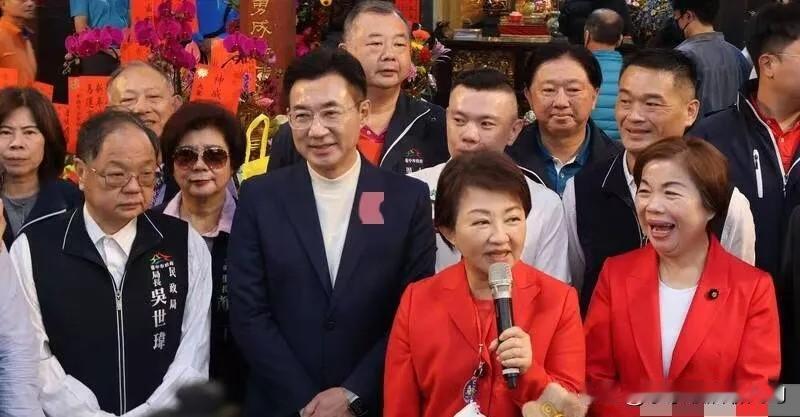 杨琼璎为了上位，竭力拍卢秀燕的“马屁”，叫嚣卢秀燕是主动为国民党、为台湾与美国的