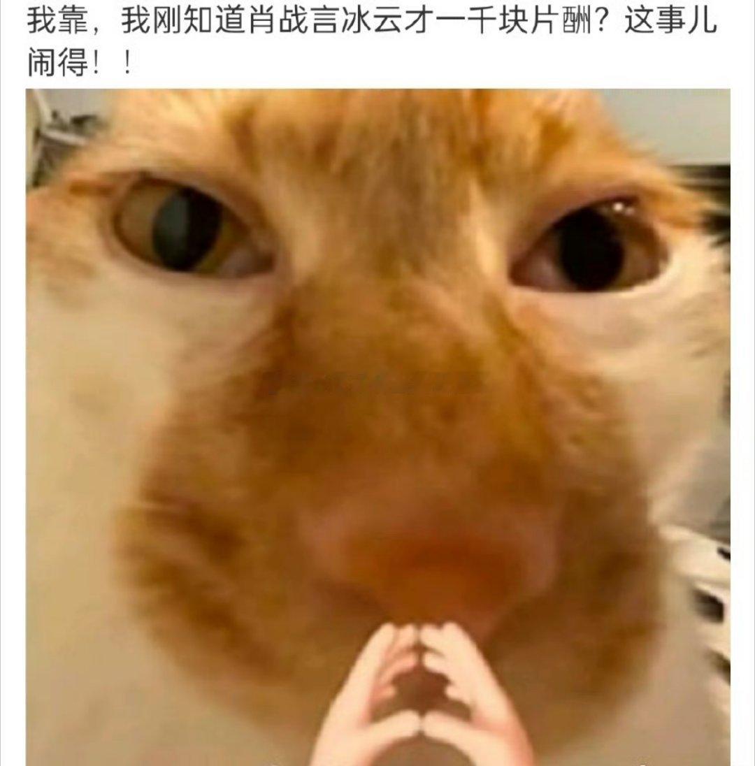 妈耶，我是最后一个知道肖战演《庆余年》的时候片酬才1000/集吗😳现在言冰