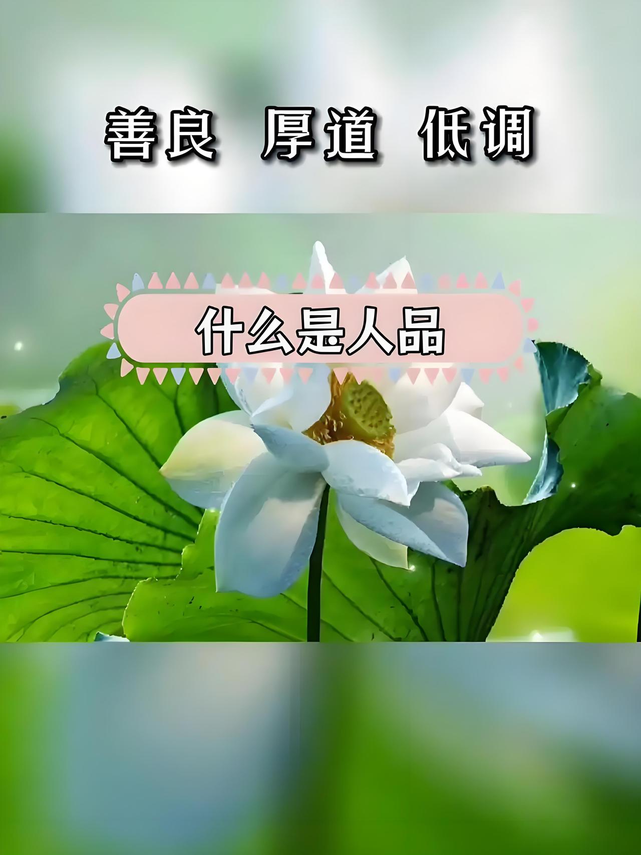 和人交往，我更看重人品。金钱的确有吸引力，可它没底线，而人品才是保险。曾有个金