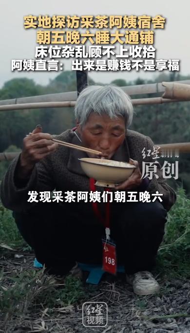 据5月19日报道，每到春天，大家都爱说“明前茶，贵如金”。市面上的龙井、黄金