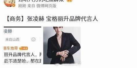 吃🍉张凌赫宝格丽升品牌代言人