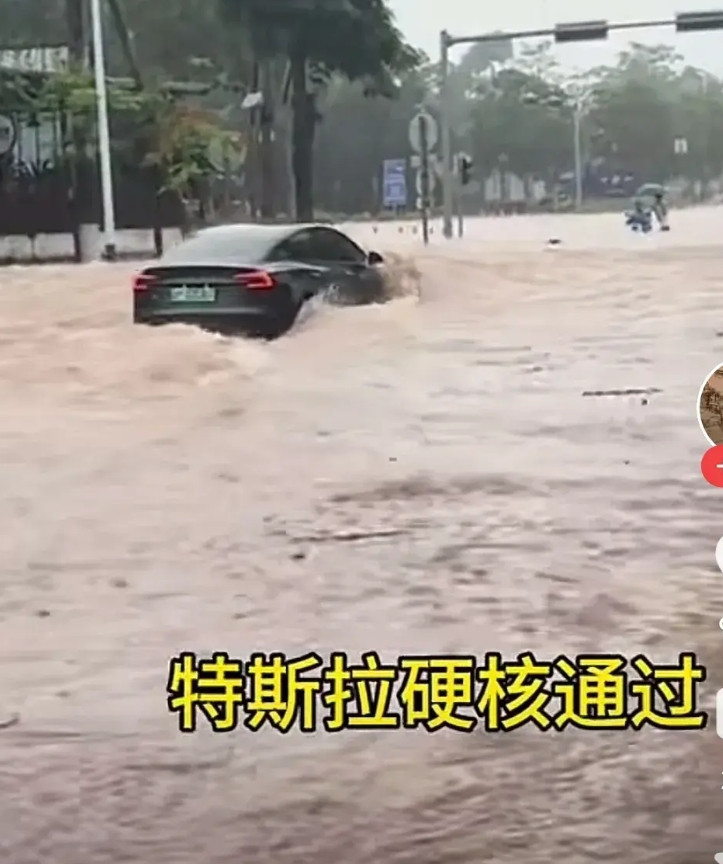 特斯拉硬核力量！网友说：手机选苹果，电车就是特斯拉。特斯拉自动开启防水功能，敢问