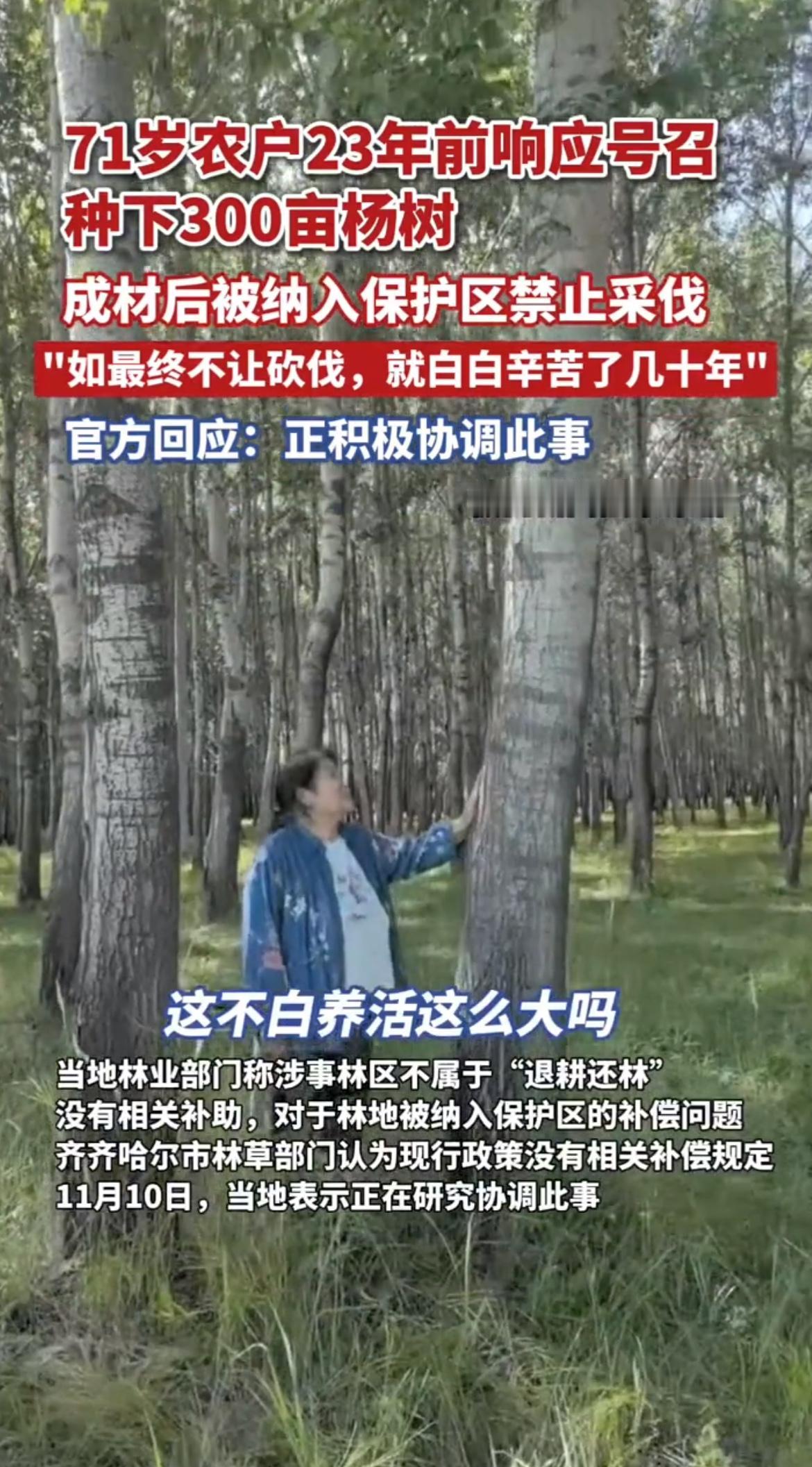 71岁的农户种下300亩杨树，本指望几十年后能有个好收成，可谁能想到，这些
