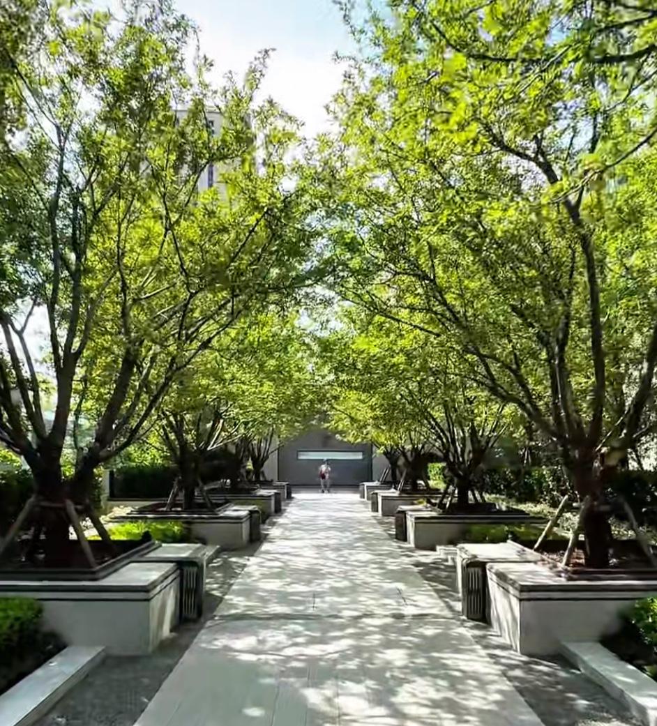 昨日（3月1日），北京二手房看房人数炸裂，小阳春这就开始了？时间的指针刚刚迈