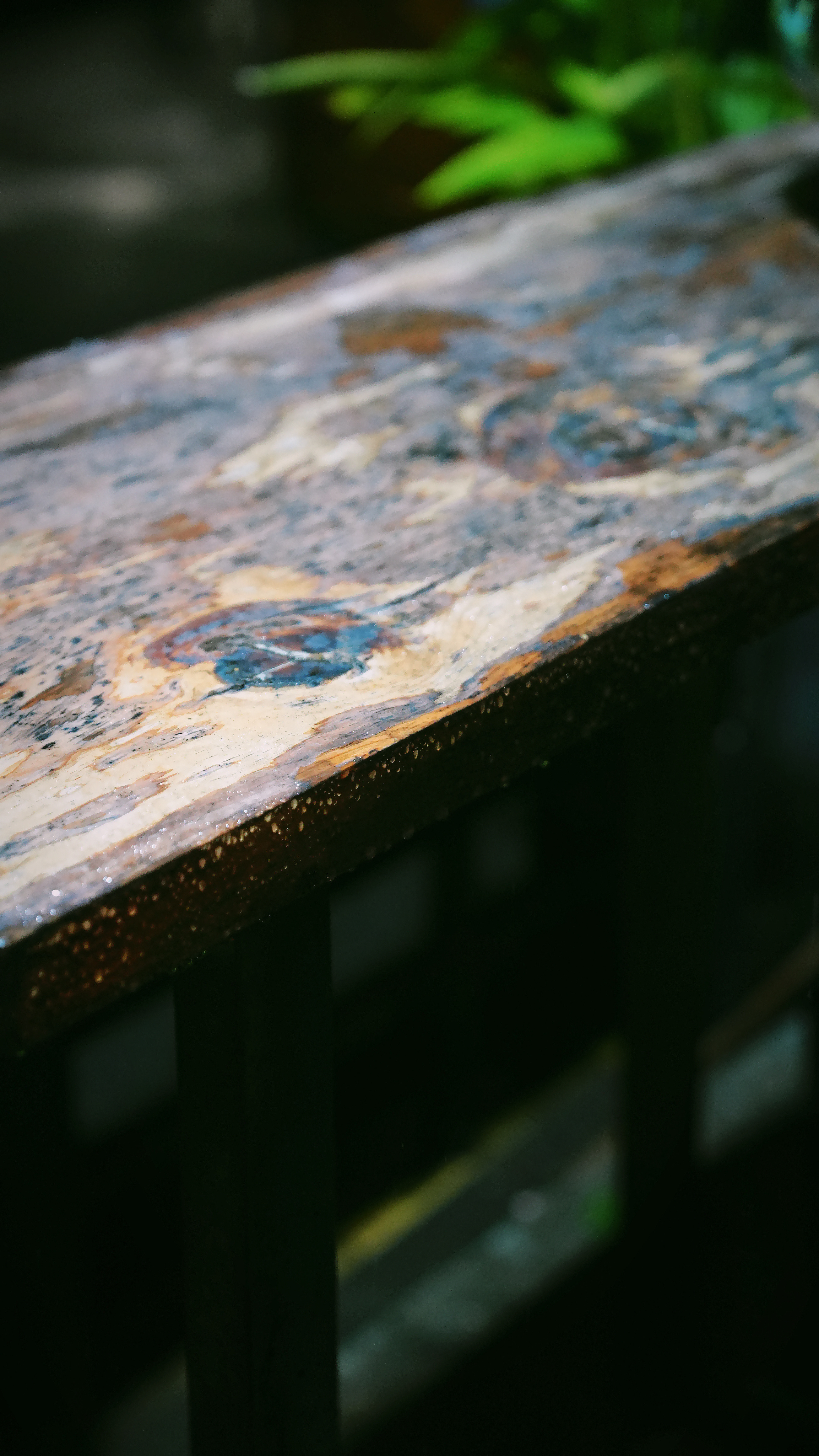 山里居然下雨了，非常不可思议，天气没说有雨啊