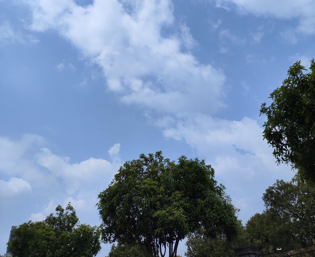 人生九悟！你悟到了第几？第一悟:命里有时终须有，命里无时莫强求，万般皆是命