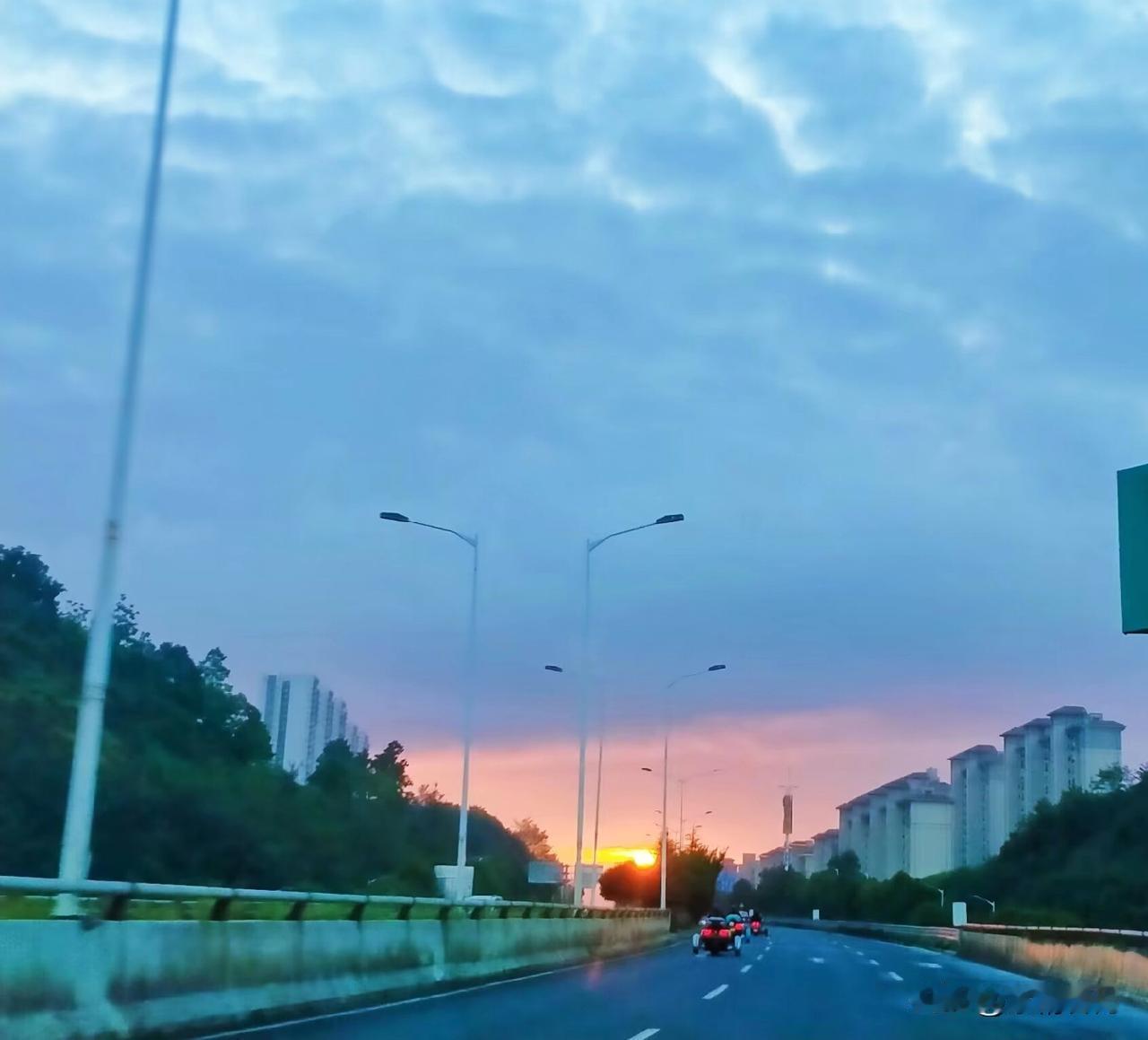 今日所见所闻跑步随拍