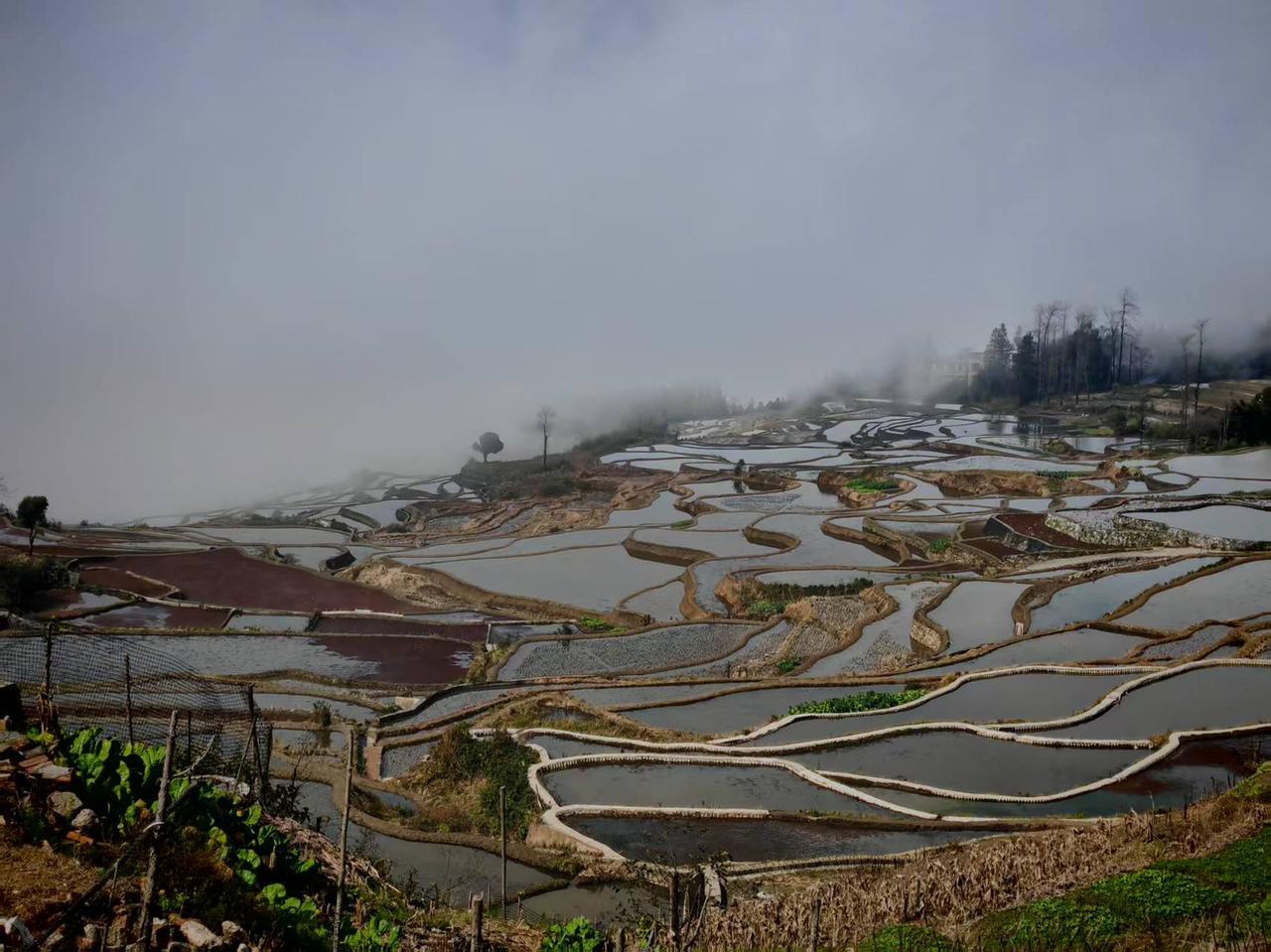 阶层越高越不讲感情，只讲社会资源和利益交换。表面寒暄热情，内心冷漠保持距离。你