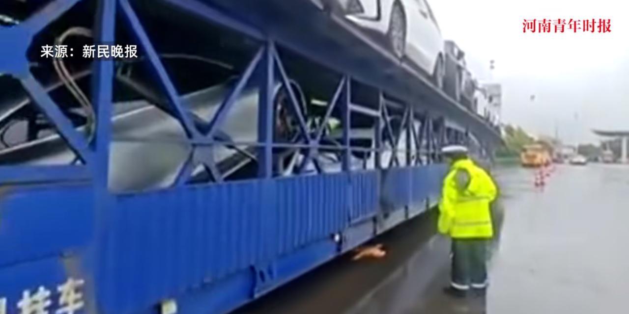 “离了个大谱！”近日，上海，一男子驾驶一辆52米长的货车，装了28辆二手汽车在道