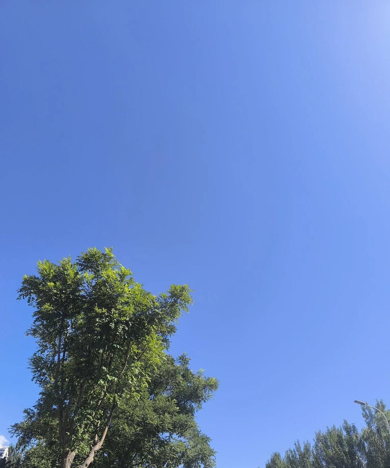 为什么有的人终其一生拼搏奋斗但收获甚微而有的人没怎么去努力就什么都有了