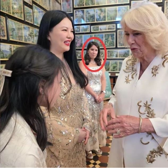 李湘带女参加英国皇室聚会翻车，明星蹭热度人设遭吐槽