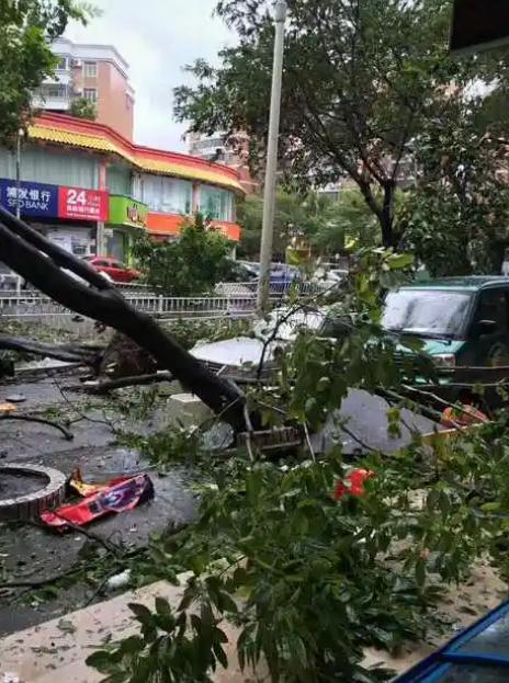 台风“桦加沙”过境，珠海城管部门闻风而动，以“快、准、稳”的姿态打响了一场漂亮的