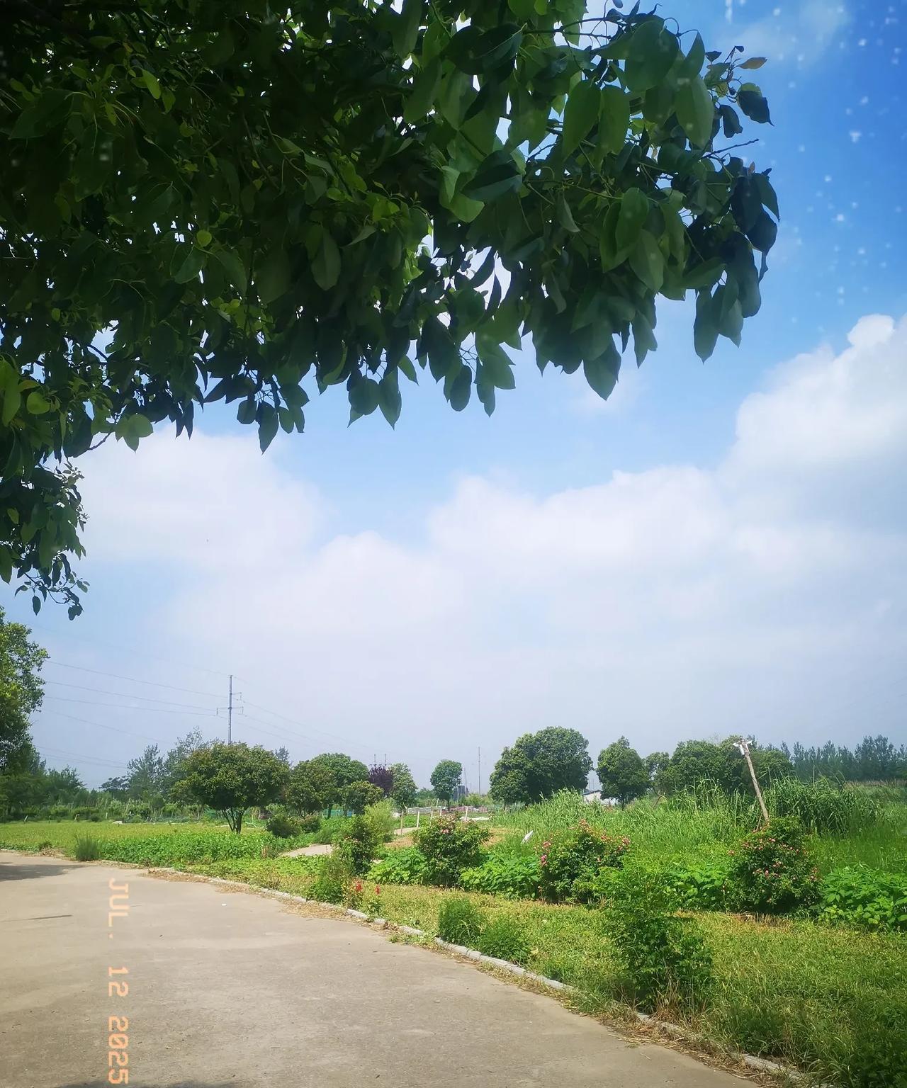 刚才回家的路上，碰到一件心酸的事。我刚才在路上正骑电动车，听到身后一个年轻女子