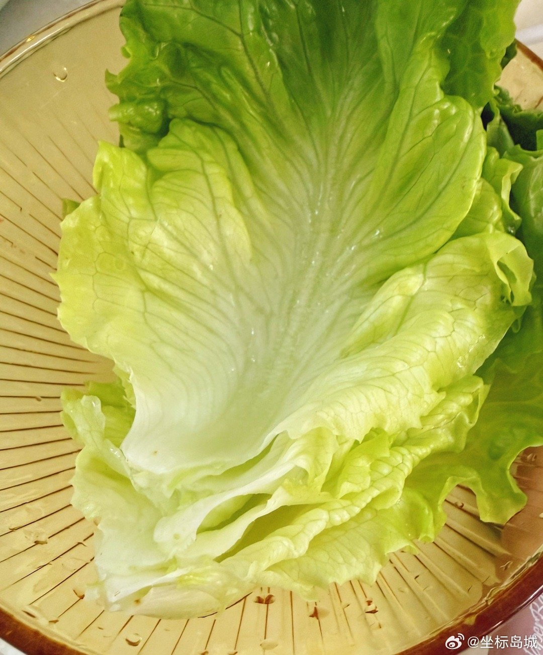 1个大鹅蛋、2块肠、2片牛肉碎、2块西瓜皮、2个圆菇、1个长椒、1个圆椒……给娃