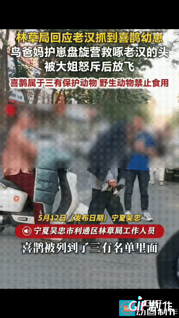 太缺德了！宁夏吴忠，一老头抓着小喜鹊，走在街头。他的头上顶着一件衣服，还有两只大