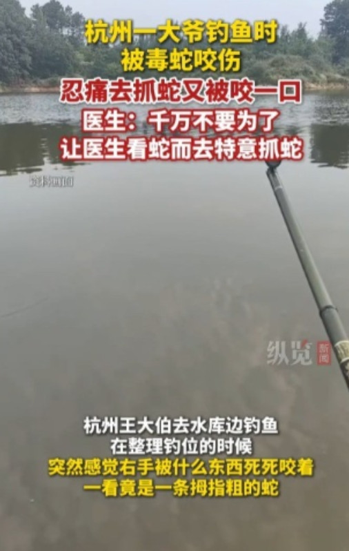 6月6日，浙江杭州一位大爷在水库钓鱼时，突然感觉右手被咬，低头一看竟是一条手指粗