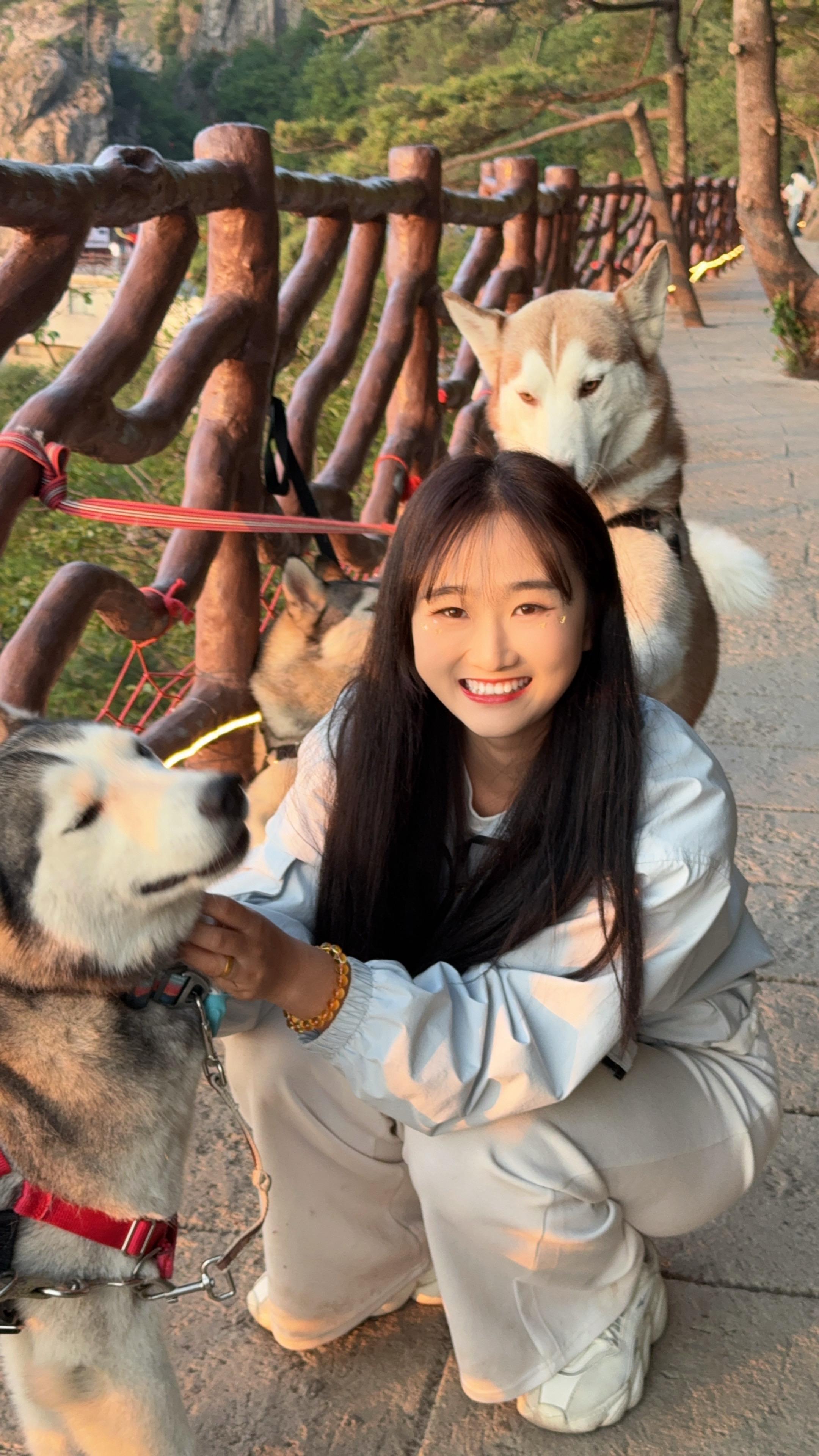 妮可的狗子