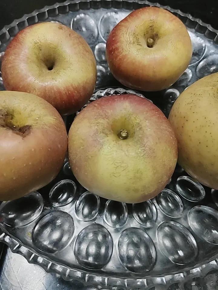 山西运城平陆县这事儿直接给我整懵圈了，客商约定好，收30亩药材，居然说只收