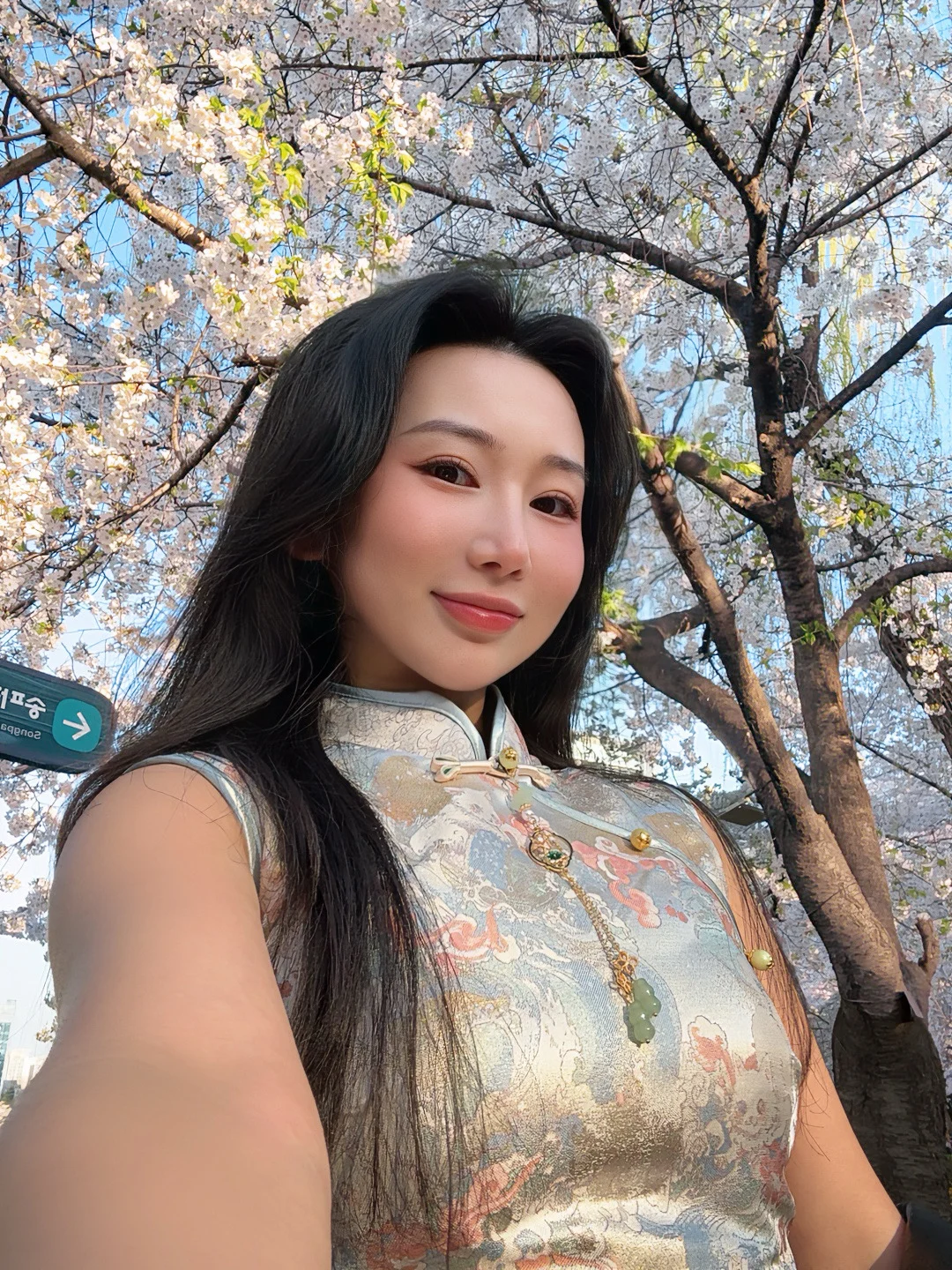 🇨🇳女人在𝐒𝐞𝐨𝐮𝐥 赏樱都去穿旗袍🌿🌸