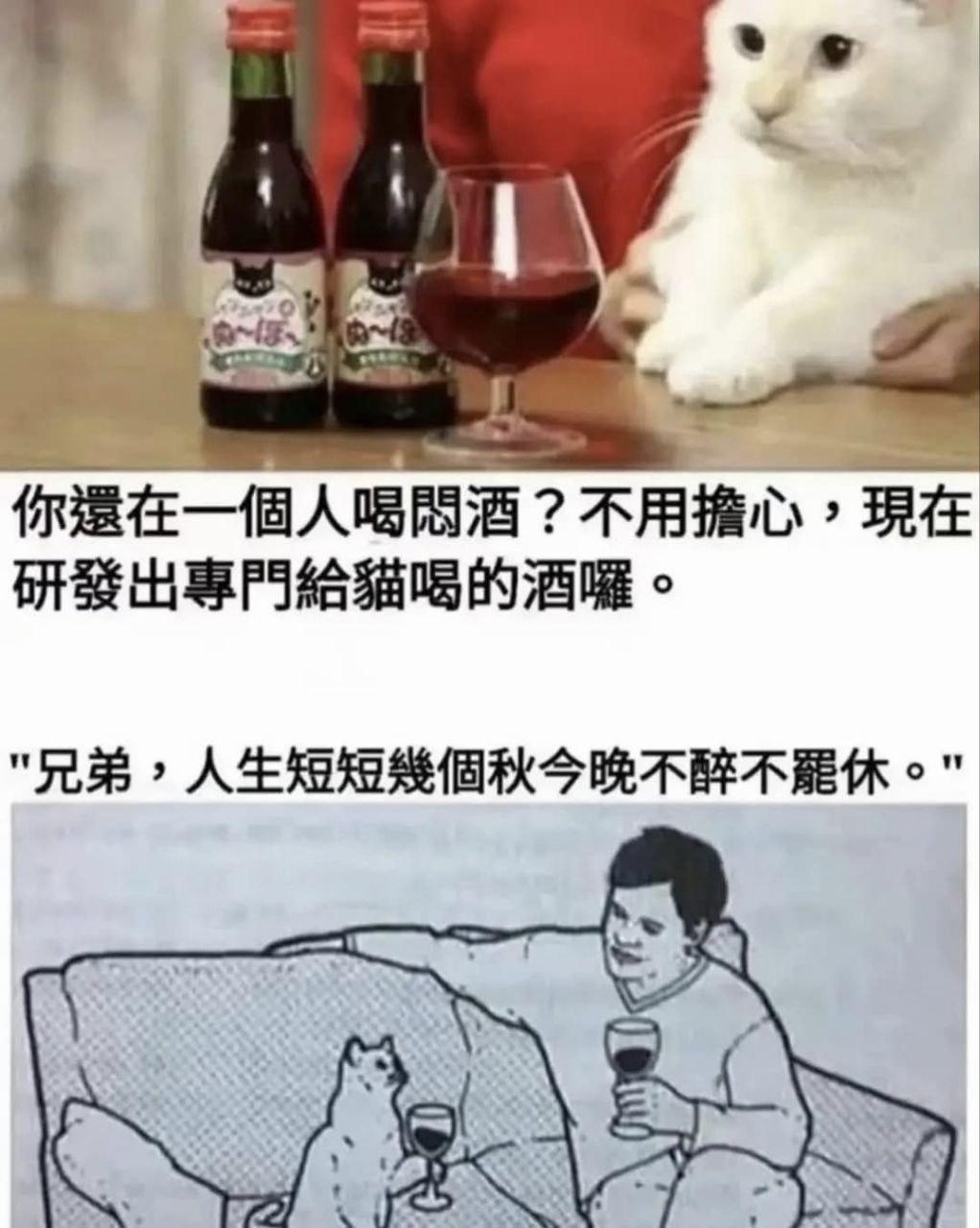 你还在喝闷酒？