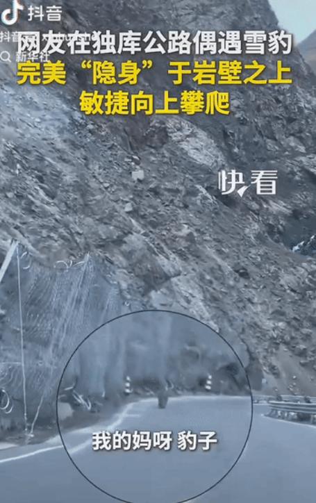 万万没想到，新疆独库公路上，一对男女驾车途经此处，副驾女子偶然抬头望向岩壁，瞬间