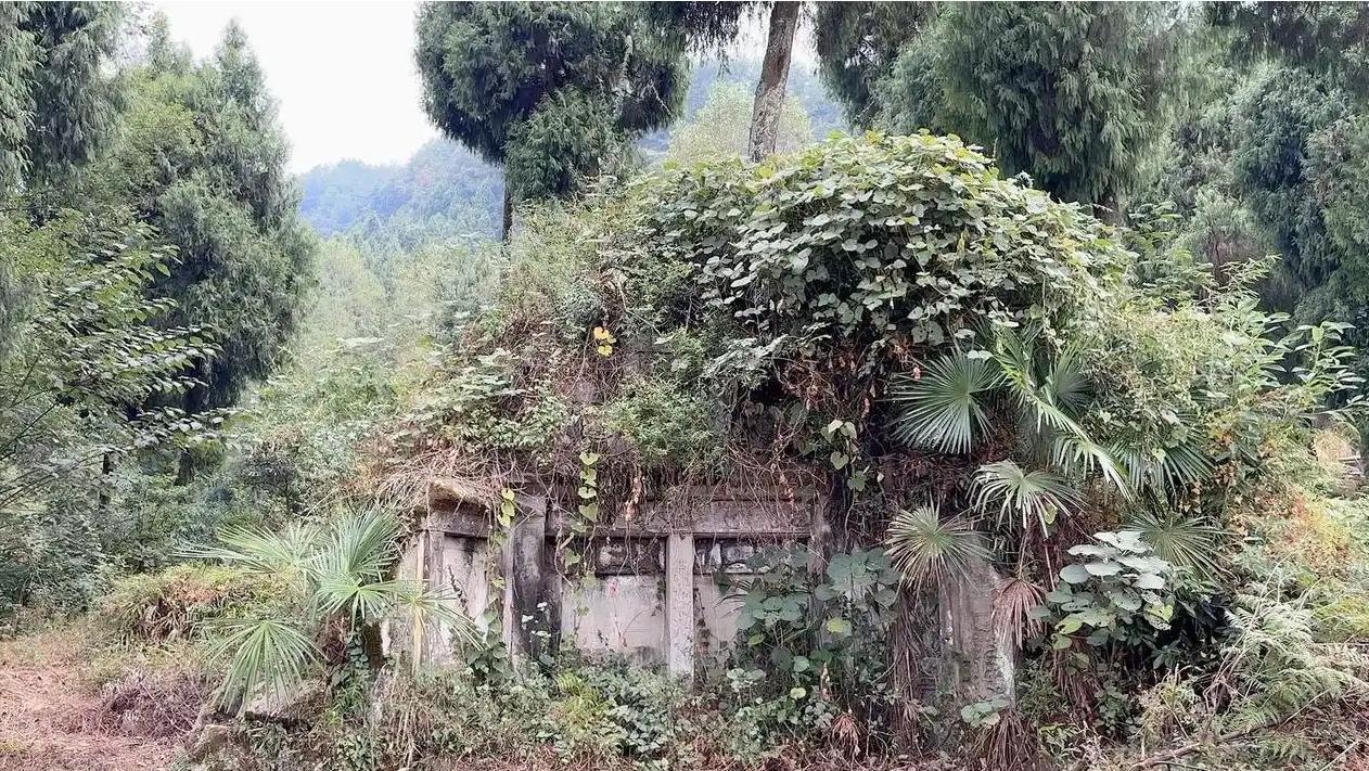 几千年土葬埋了几百亿人，除了帝王陵，普通人的坟都去哪了？中国土葬延续了几千年