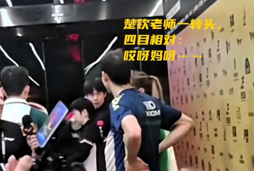 王楚钦知道自己惹事了，今天看到雨果会胆怯吧？昨天的采访哥走神了，一不小心说