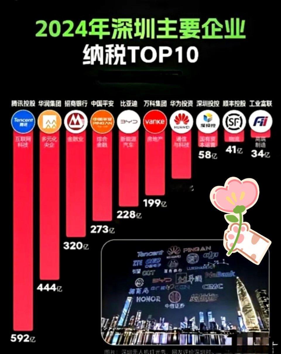 看到这个，2024年深圳主要企业纳税TOP10，腾讯排在第一位，高达592亿，一