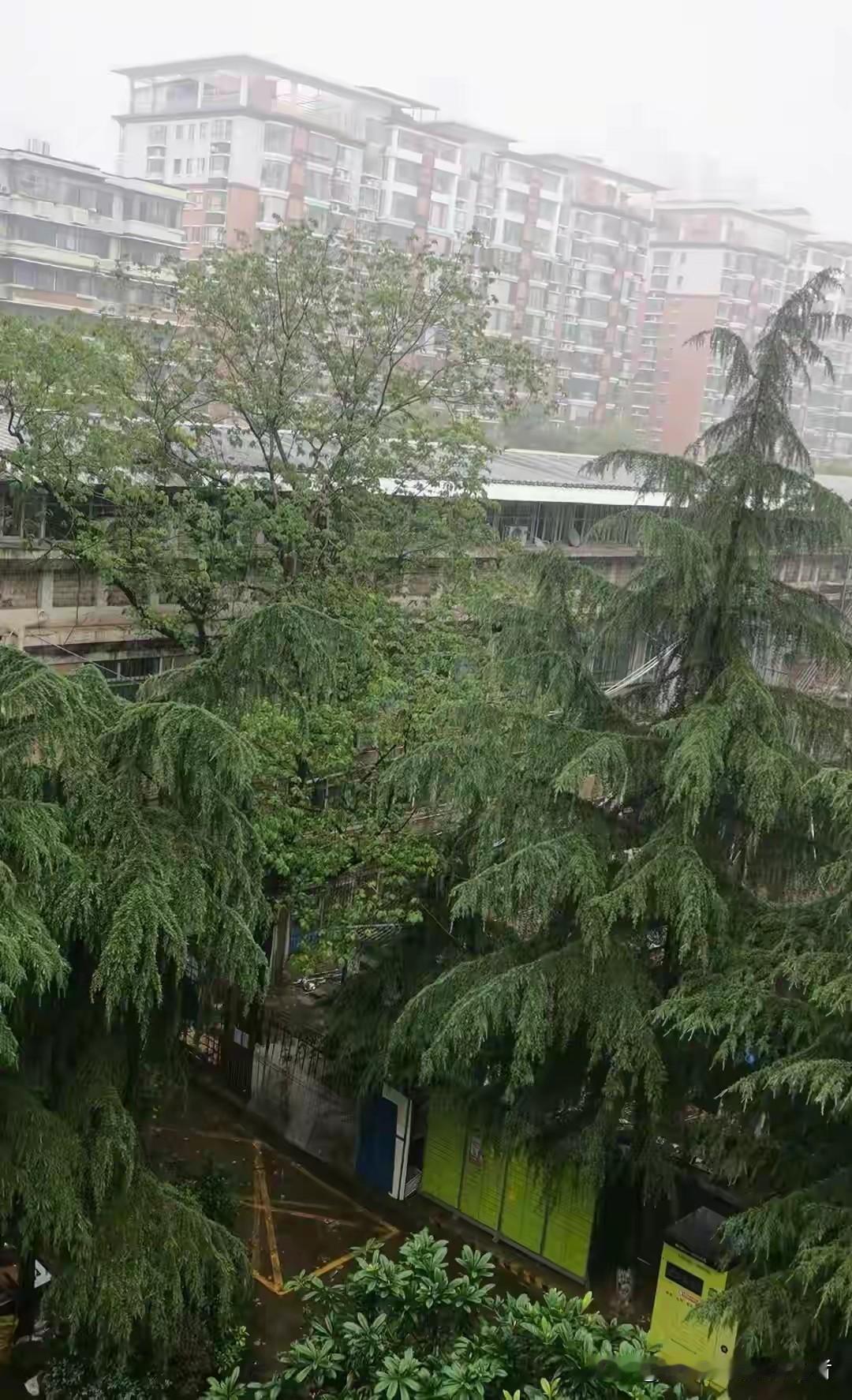 大范围强降雨横扫湖北！这场暴雨，你平安到岗了吗？今早一场暴力暴雨席卷湖北，