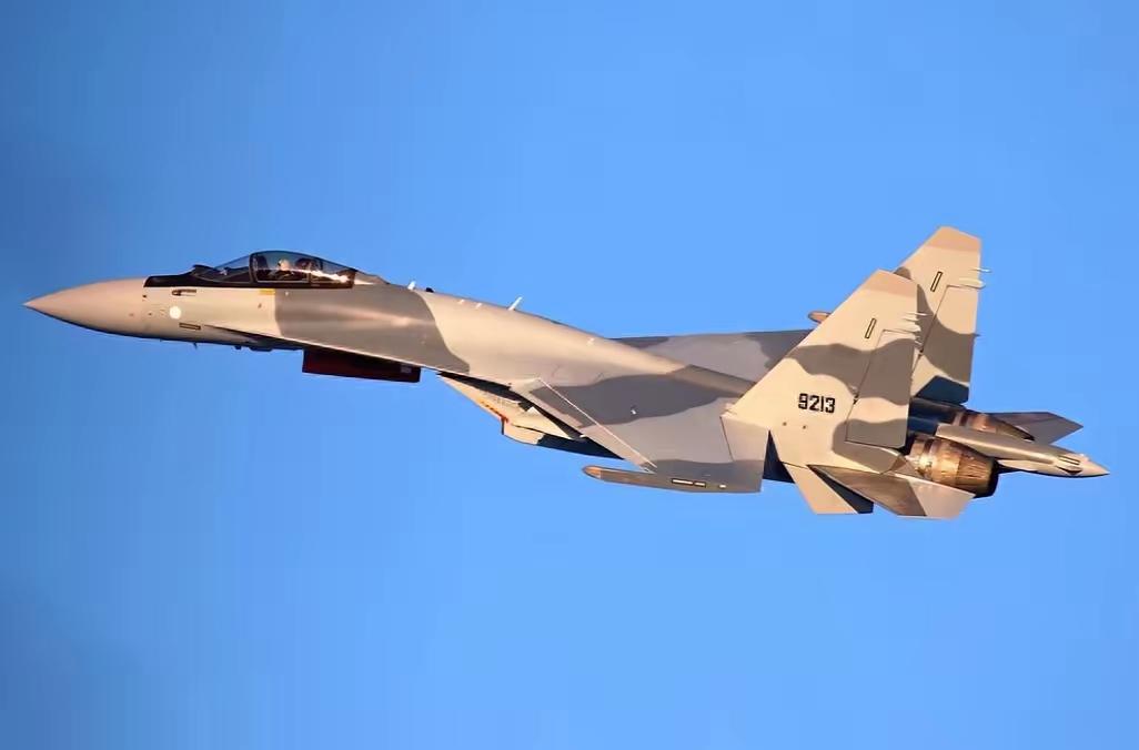 苏-35对阵F-35，别再比单挑！伊朗真正杀招，看懂的都不慌全网都在吵：伊