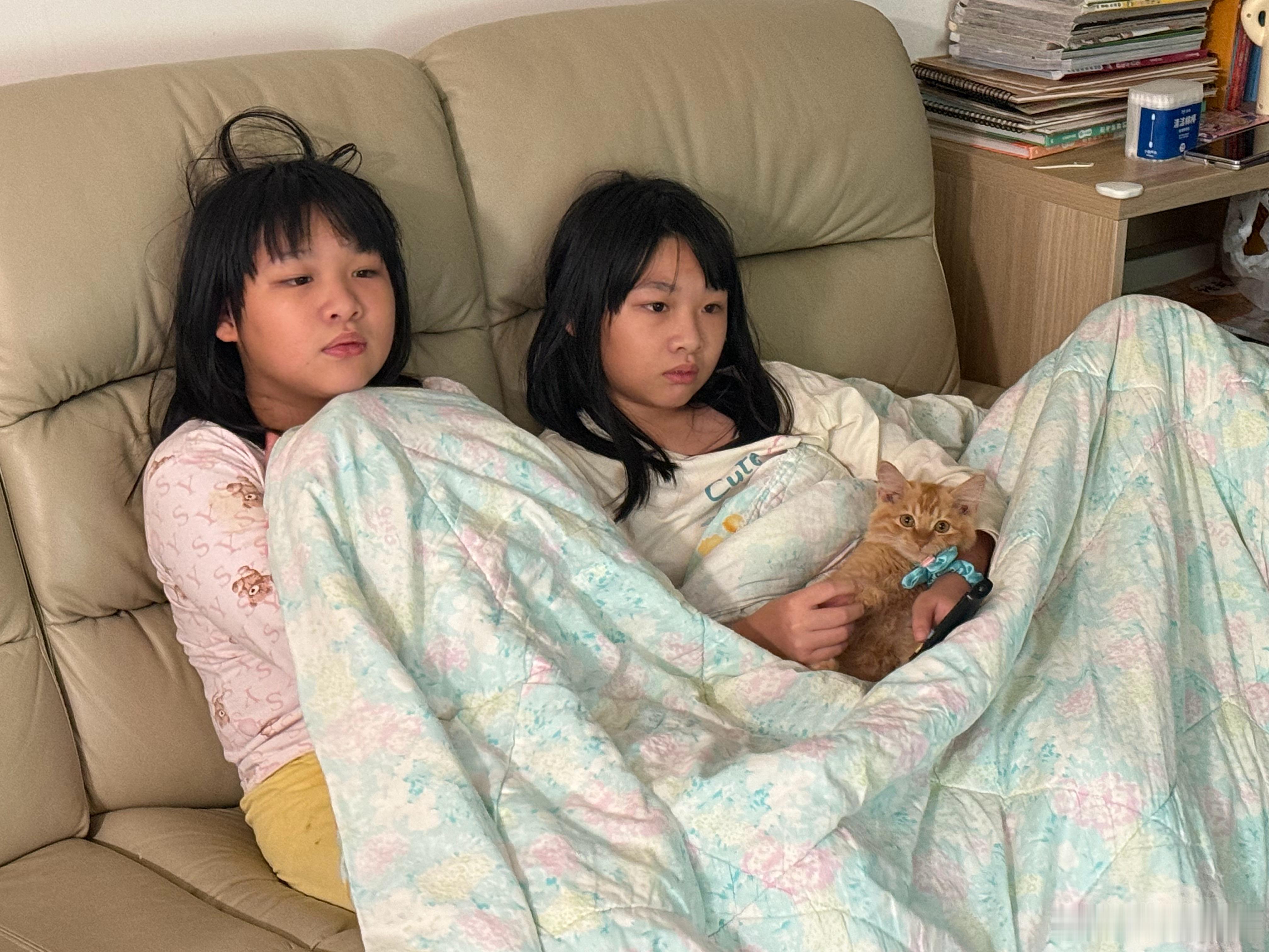 回到家，是这个状态的！猫猫状态良好！​​​