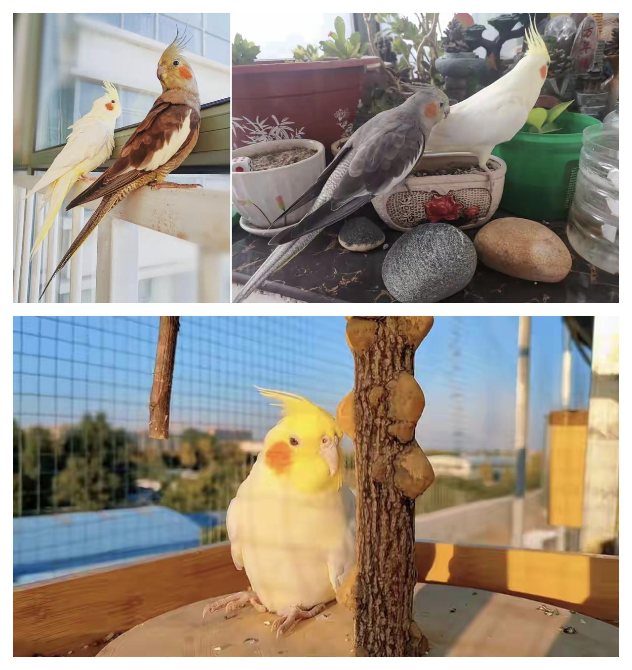 ✨投机主义者很难成功✨🐼屈辱的中国近代史我们初中都学过，还用拿出来在网上