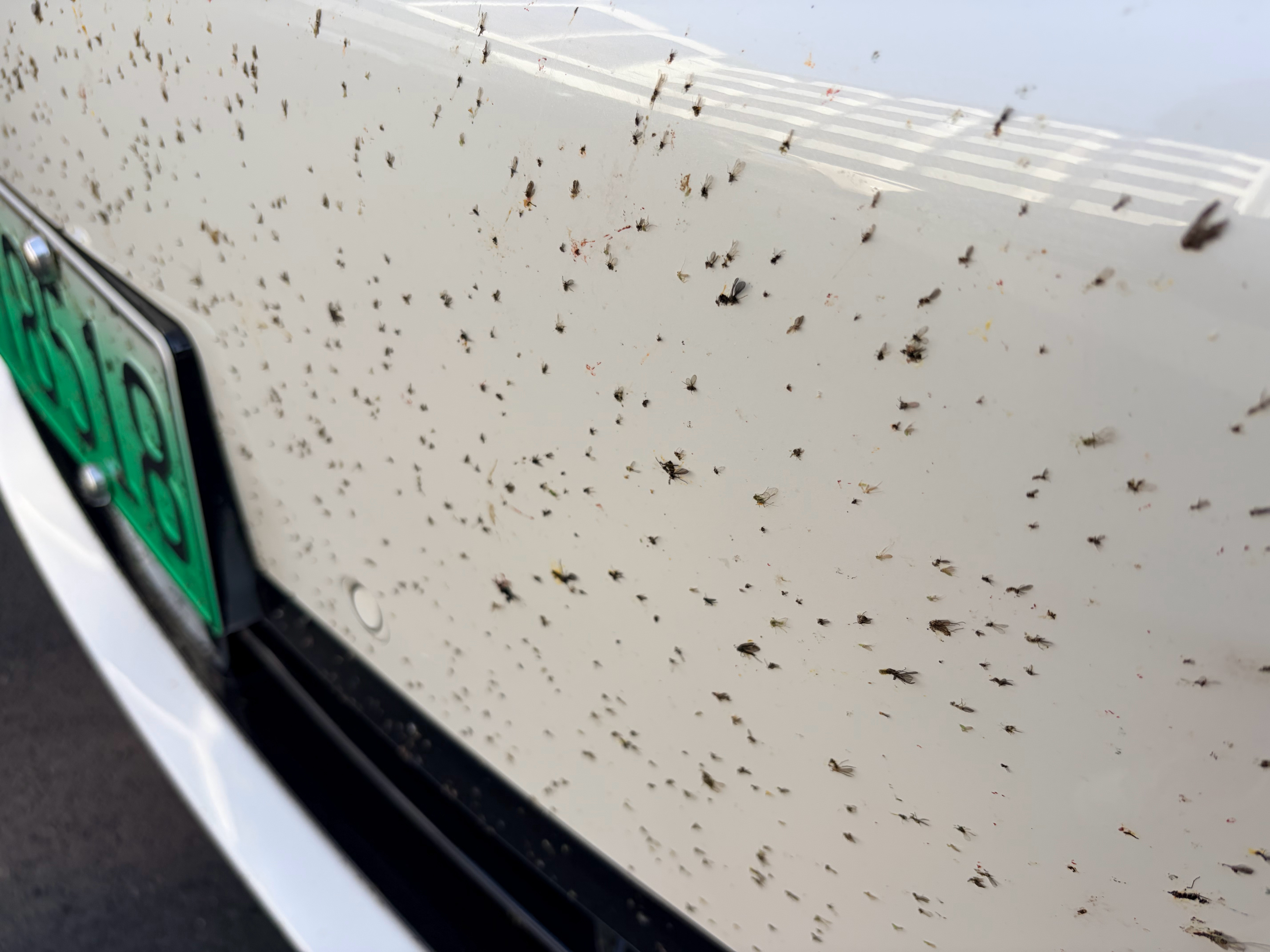 大意了，昨天充电十分钟就走人心想今天路上反正有充电桩，刚导航规划一看，路上这个