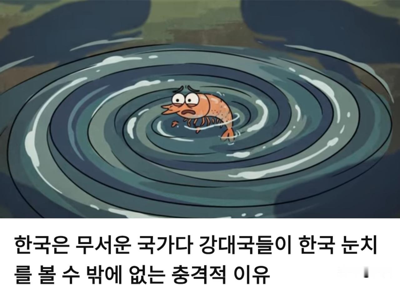 韩博主：韩国是一个令人畏惧的国家，其他强国不得不保持警惕。7月8日，一位韩博