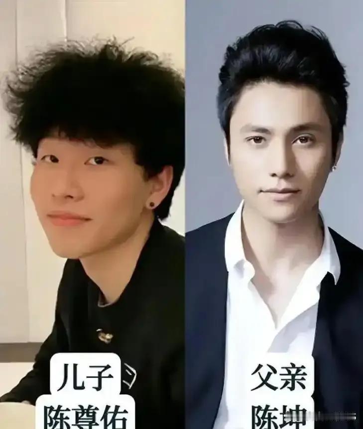 陈坤儿子陈尊佑的生母之谜，被网友猜了20多年，答案却早在14年前就摆在明面上。2