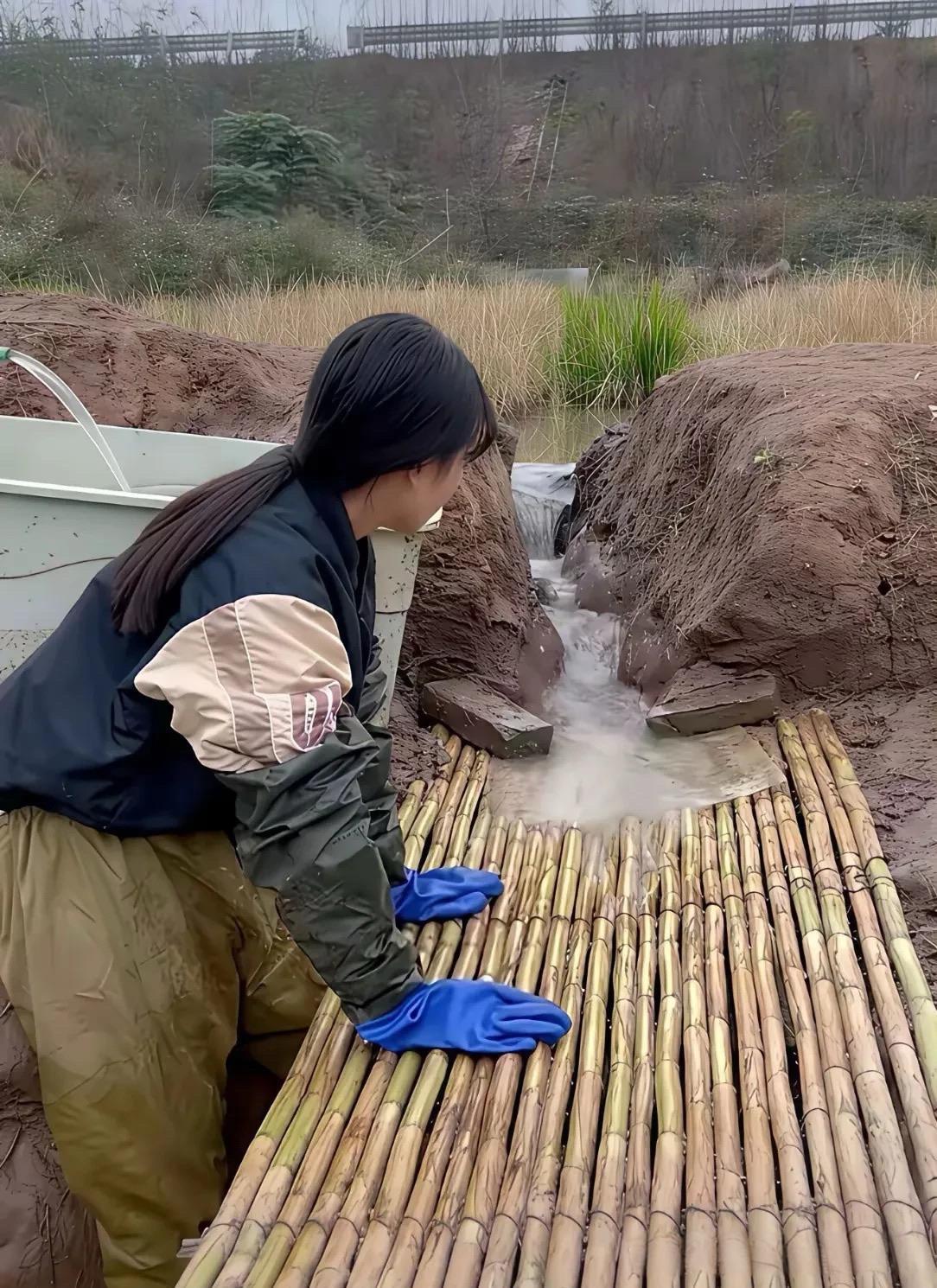 这办法好