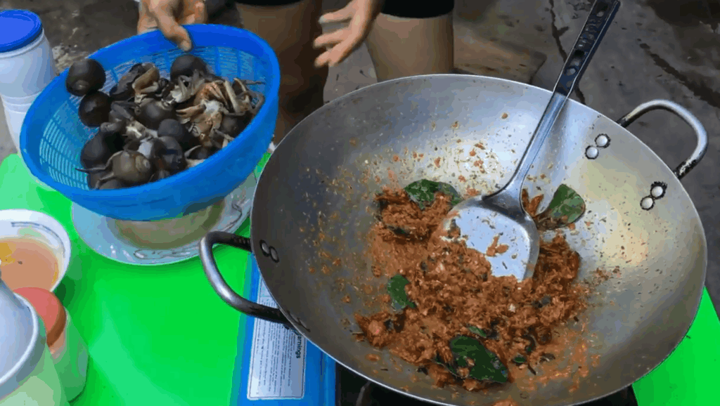 性感小学生穿内衣_最性感美女穿内衣跳舞