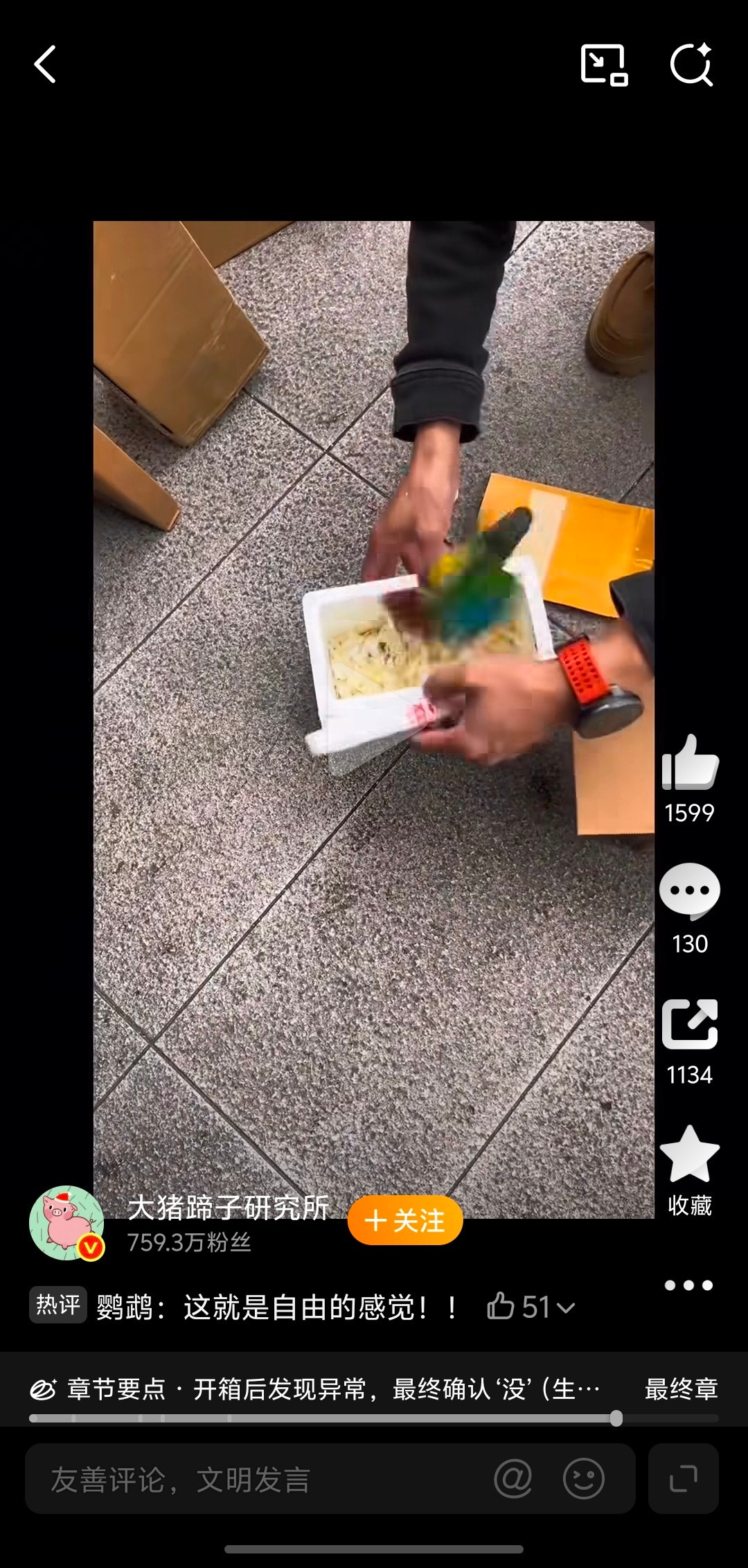 头一回见仅付款的还好及时点了暂停，不然小鹦鹉就要飞走了，机智