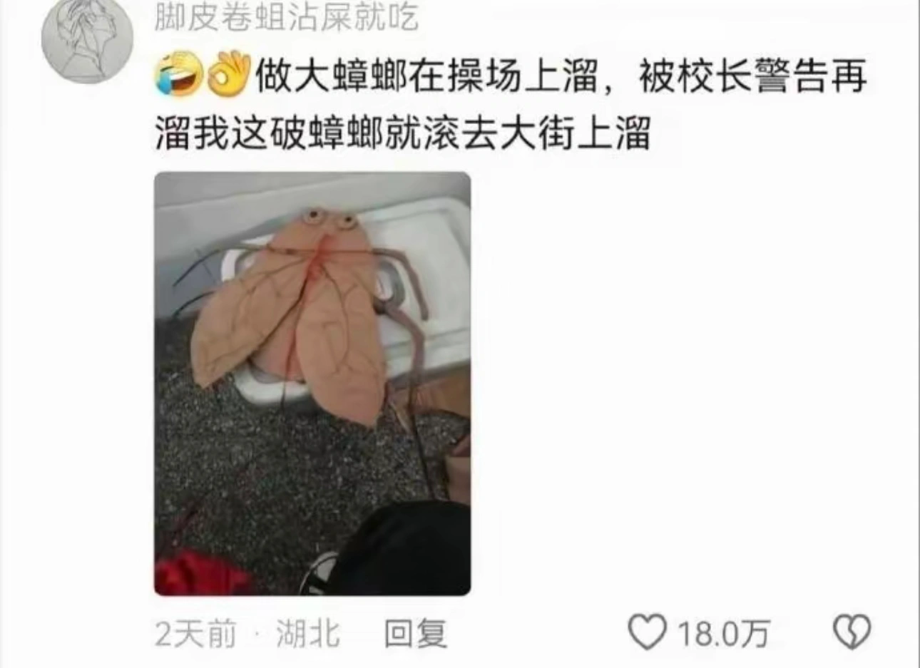 是谁动了我东西