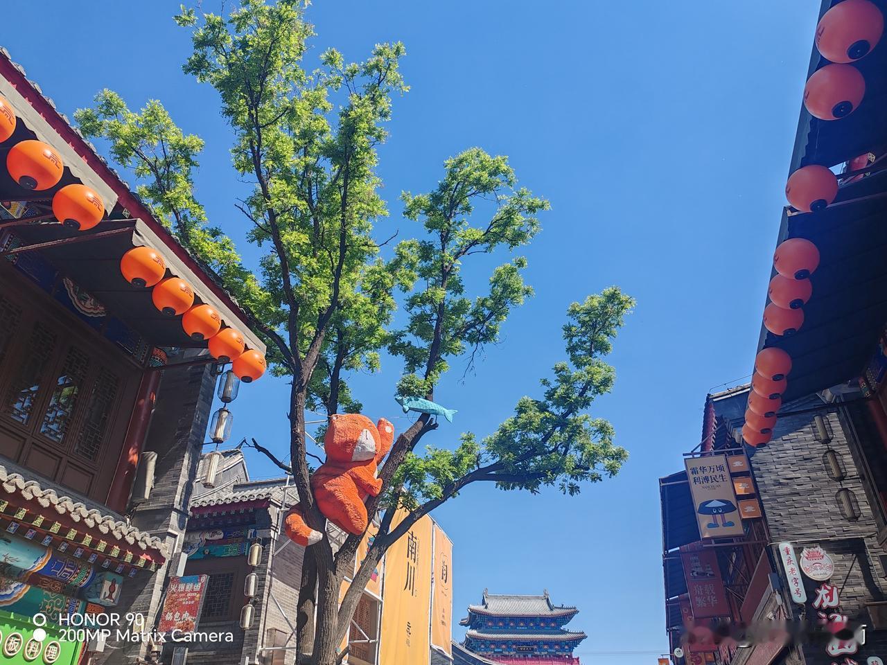我的10年军旅回望一一遭遇了一夜惊魂（5）大舅家的表哥曾经是一名70年代的老