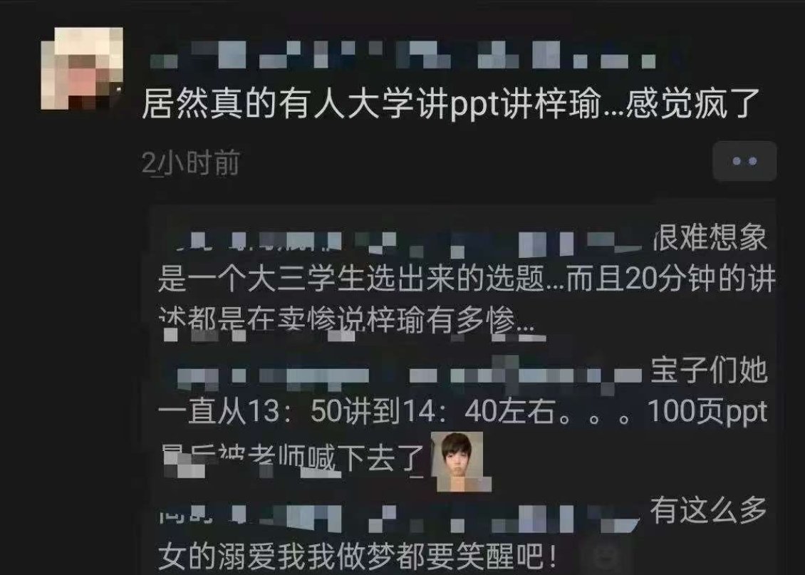 我嘞个大学ppt讲梓渝