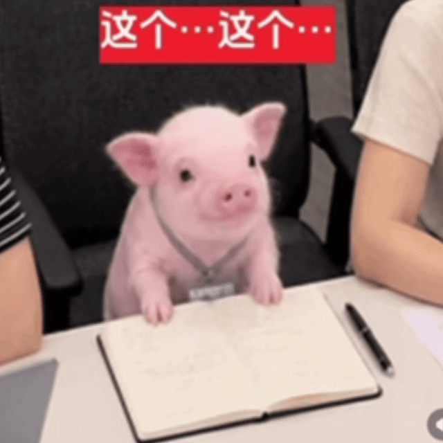 小猪表情包小猪动图上班表情包可爱表情包🐽​​​