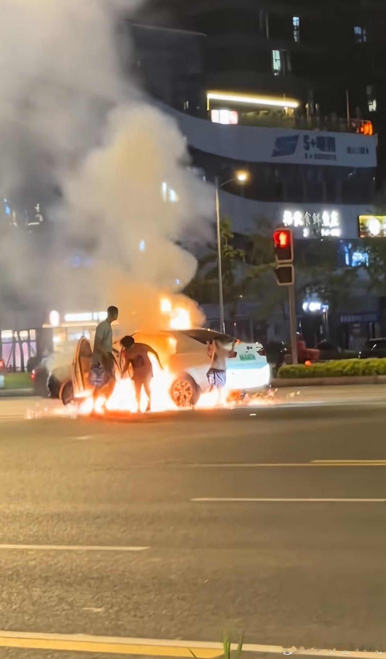 2016-2019年之间的纯电动汽车，尤其是A级纯电轿车，如果是个人所有的话，我